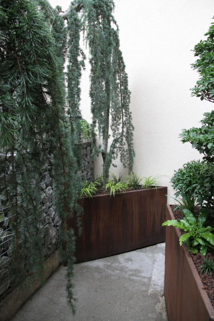 Projektbild Garten im japanischen Stil