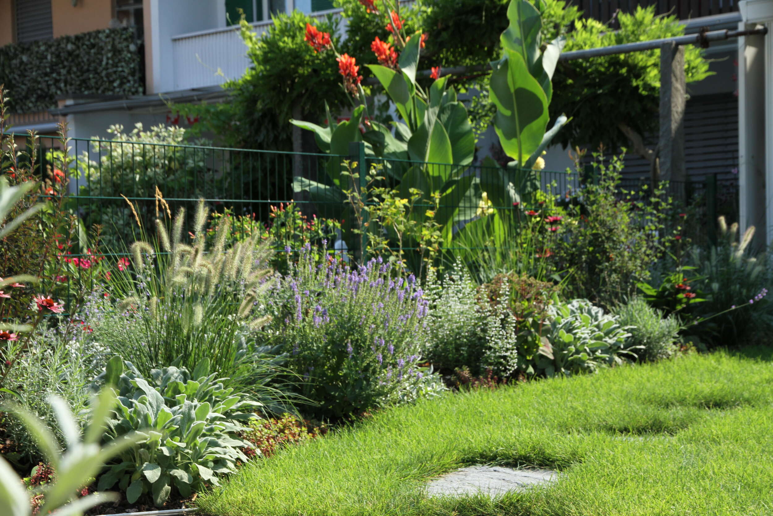 Reihenhausgarten im Hirzbrunnenquartier in Basel – AvantGarten