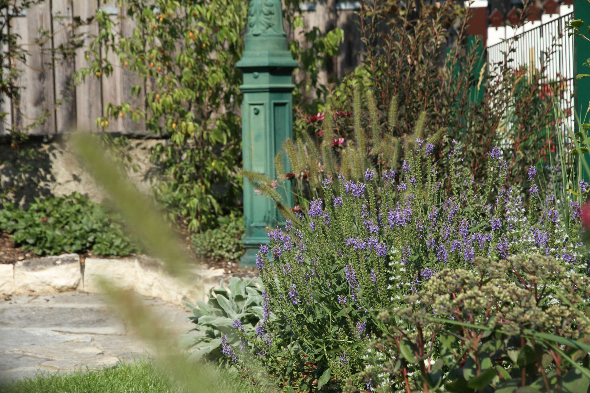 Reihenhausgarten im Hirzbrunnenquartier in Basel – AvantGarten