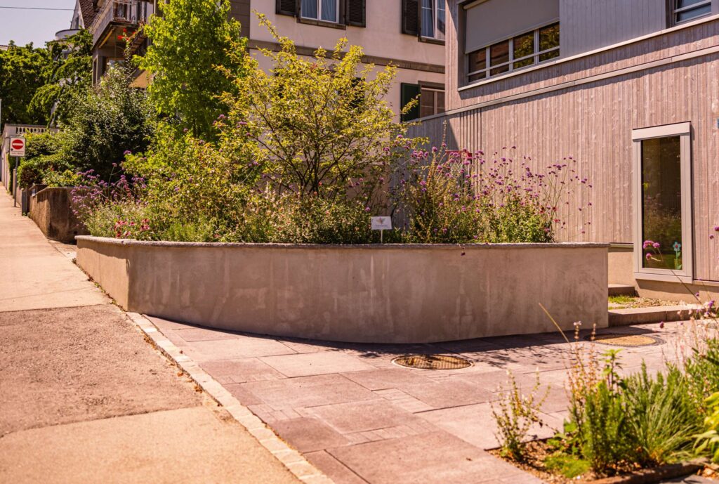 Projektbild Sitzplatz und Weg aus Schellevis-Platten